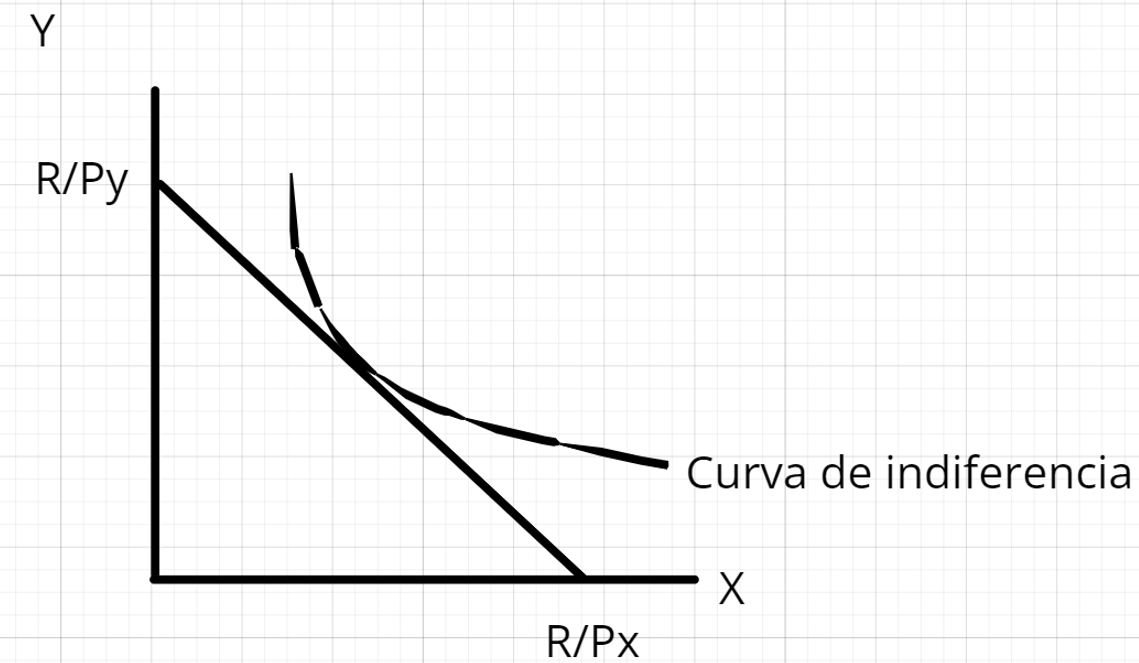 curva indiferencia